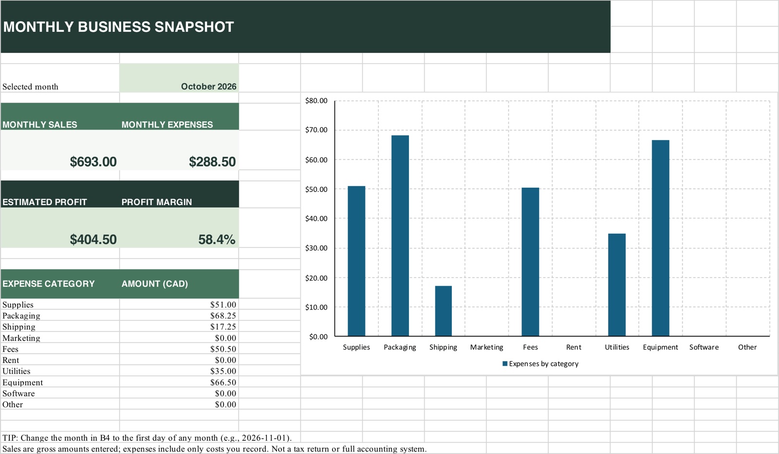 Monthly business snapshot with expense chart in Excel, demo data
